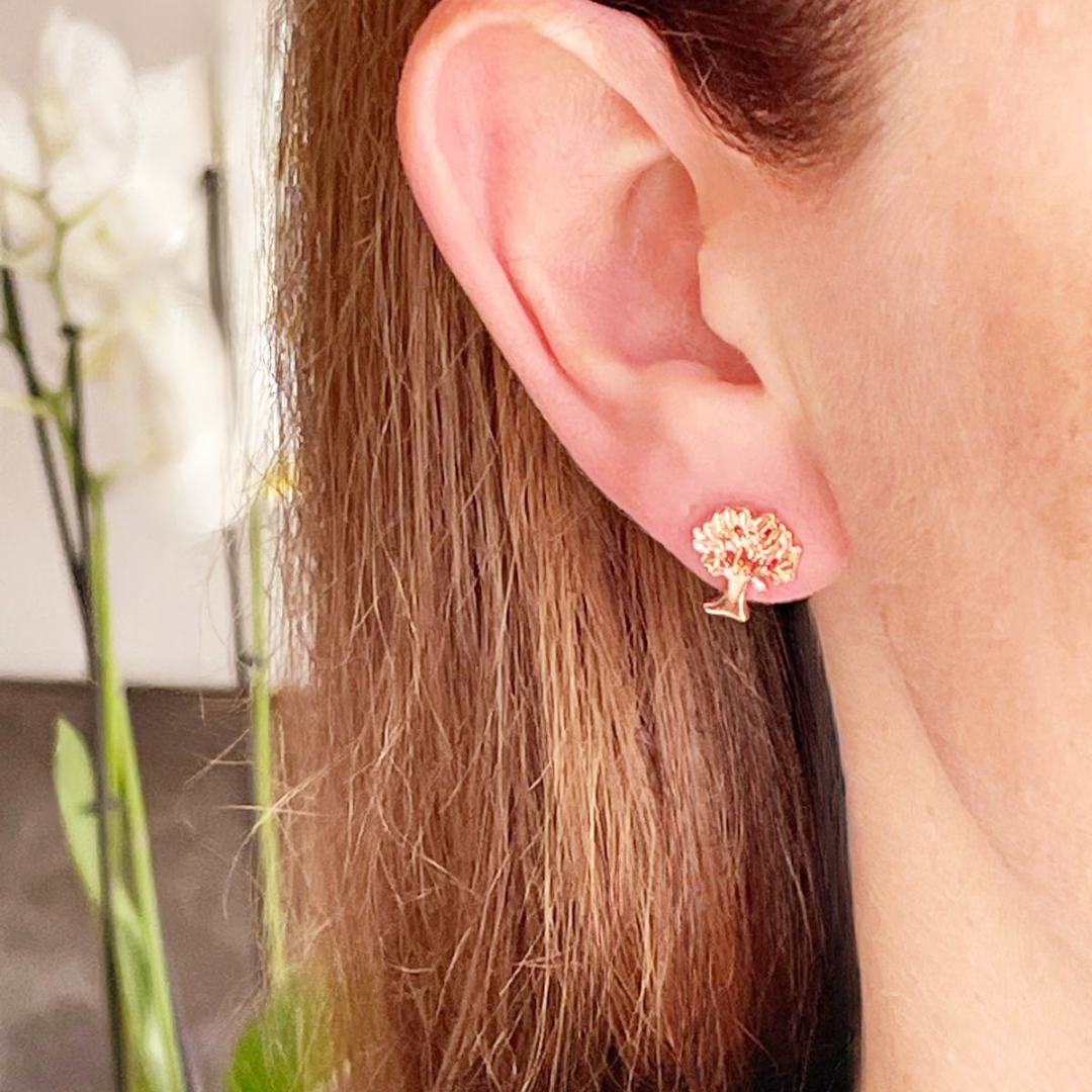 roségouden stekertjes boompje brass