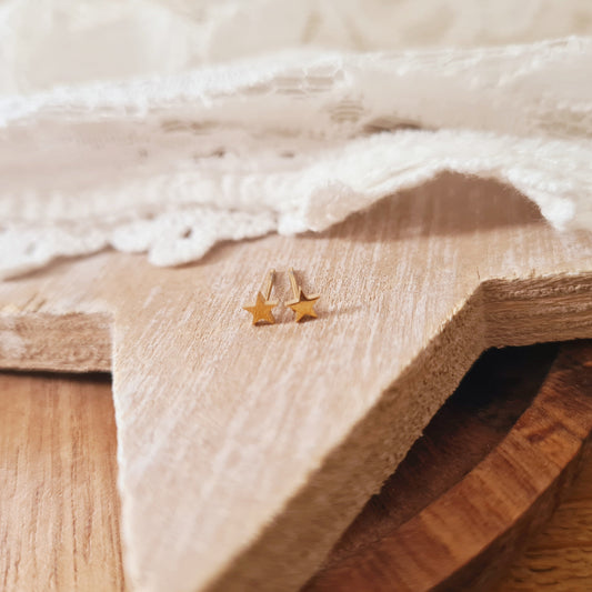 stainless steel stekertjes stervorm goud