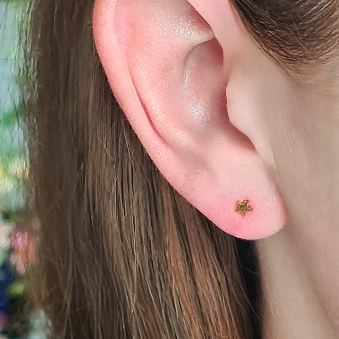 steker sterretjes goud stainless steel