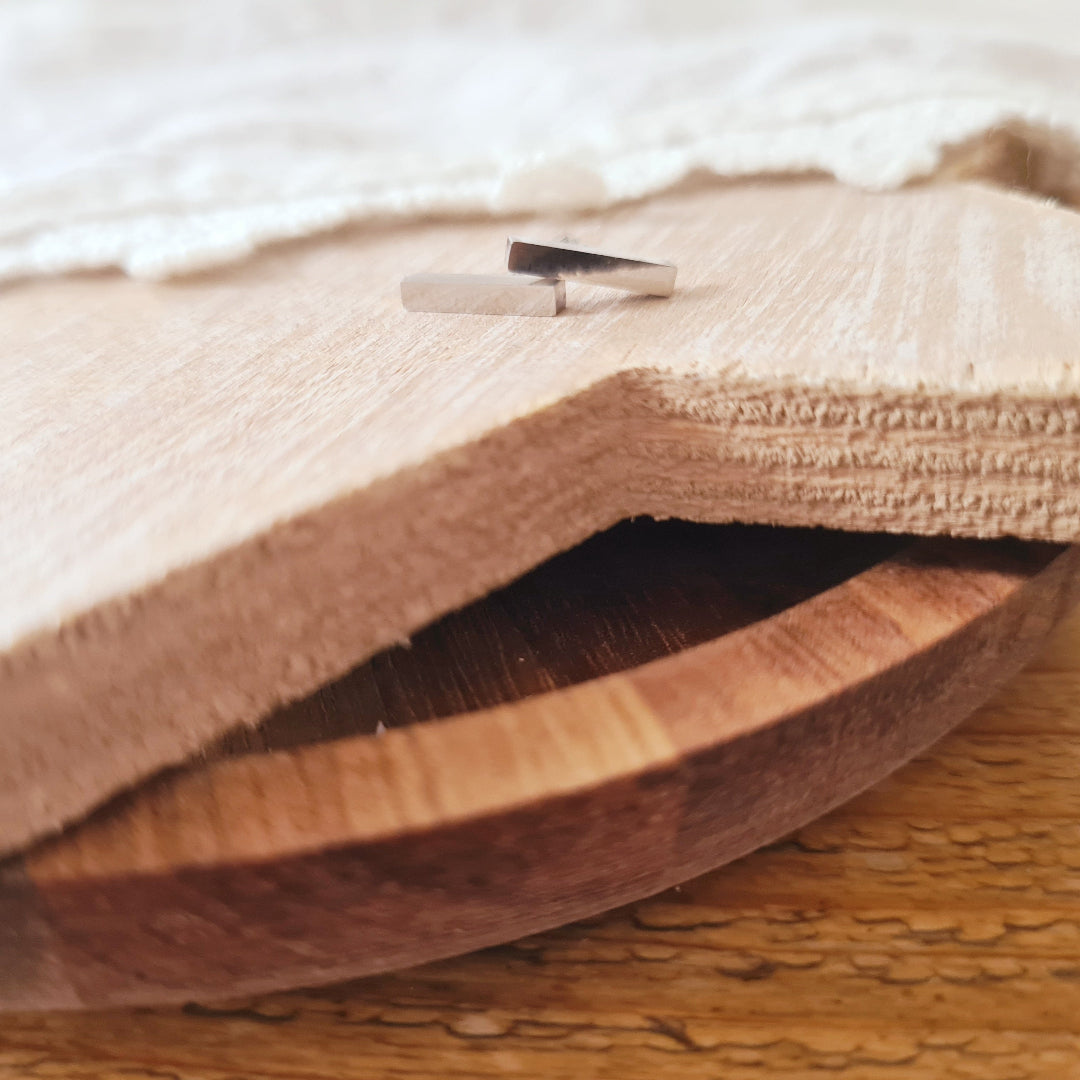 Kleine zilveren staafjes stekertjes van stainless steel